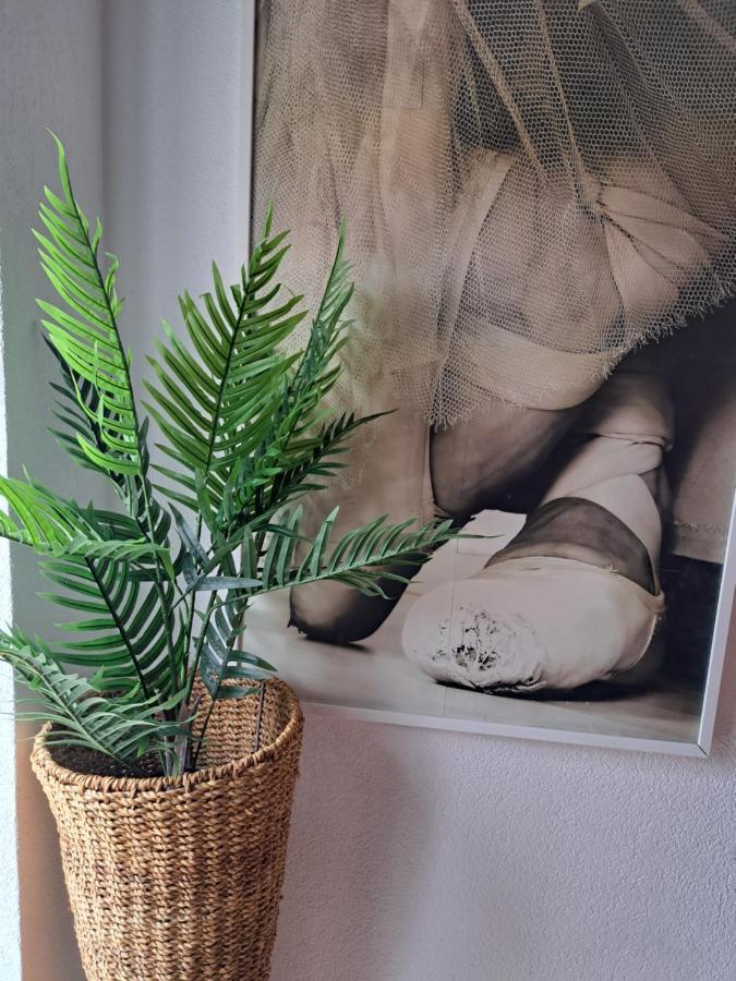 דוברובניק Ballerina Apartment מראה חיצוני תמונה